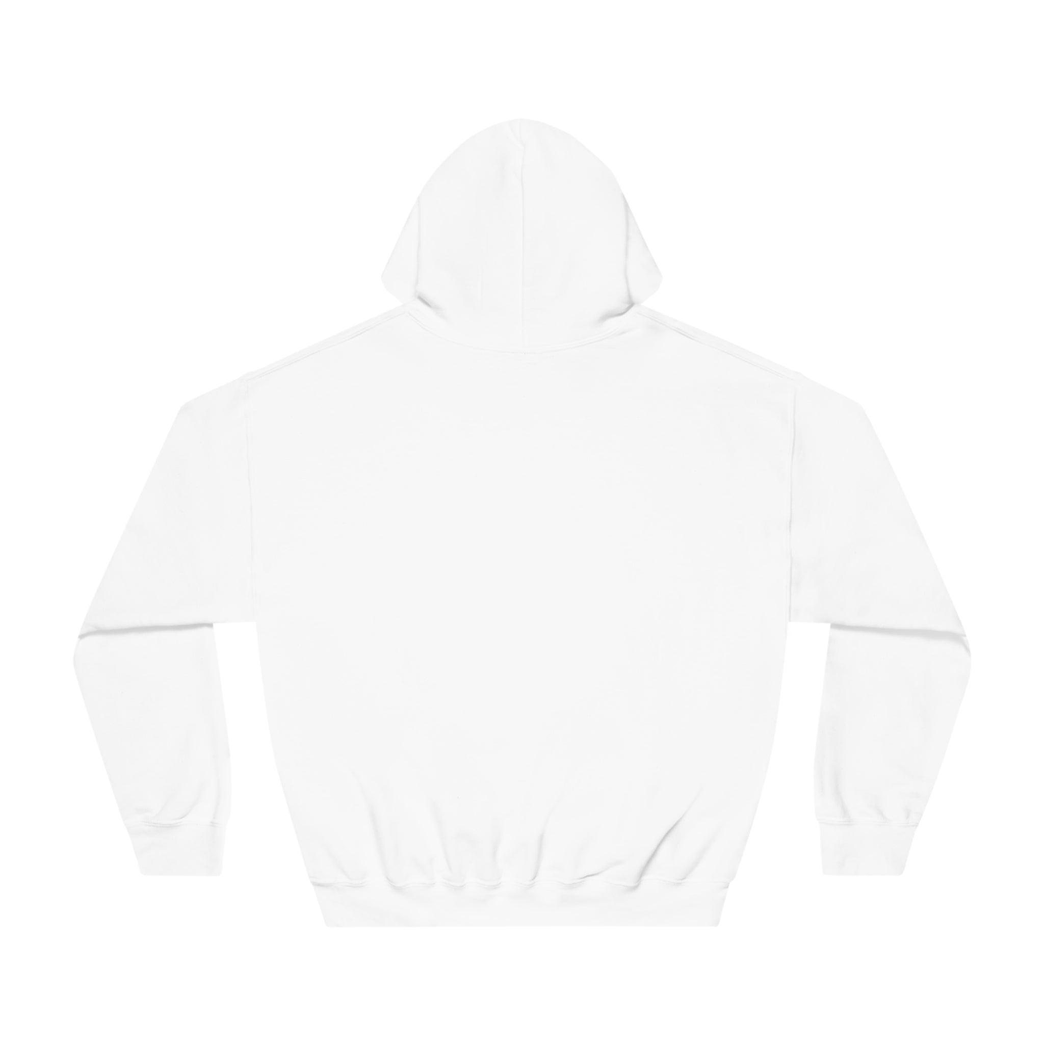 THE WORLD BELONGS TO THOSE WHO READ Unisex DryBlend® Hooded Sweatshirt Hoodie Printify   