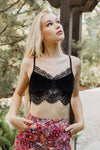 Flimsy Velvet Lace Bralette Bralette Leto Collection   