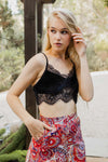 Flimsy Velvet Lace Bralette Bralette Leto Collection Small Black 