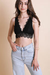 Padded Plunge Alencon Lace Bralette Bras Small / Black