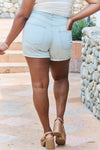 GeeGee Carissa Full Size High Waisted Denim Shorts Denim Shorts Trendsi   